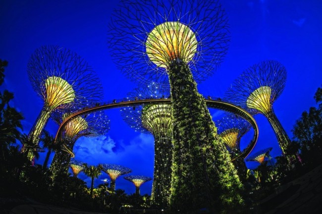 DFA 大獎 自然與城市雙羸的發展模式-濱海灣花園.jpg